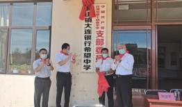 庄河大连银行最新爆料信息,揭秘神秘资金流向与潜在风险